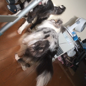 世にも恐ろしい顔をしてたのでの画像