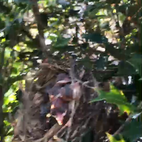 新しい家族♡の画像