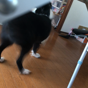 それにしても仲がいいの画像