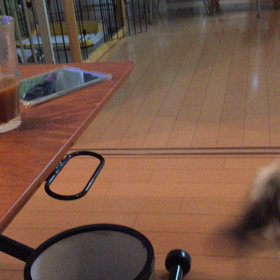 ボンド3か月の画像