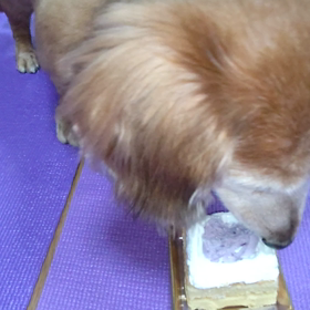 ケーキその2の画像