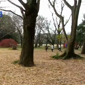 400mインターバル中間点②の画像