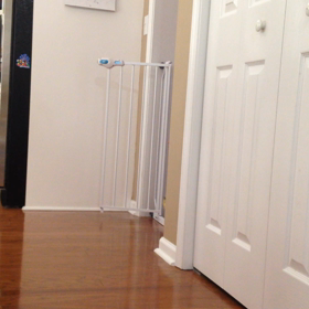 歩いた‼︎の画像