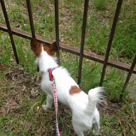 ルンルンの先にはの画像