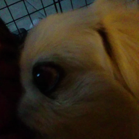 なめなめの画像