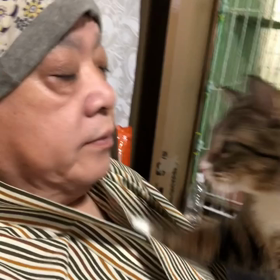 朝のご挨拶。の画像