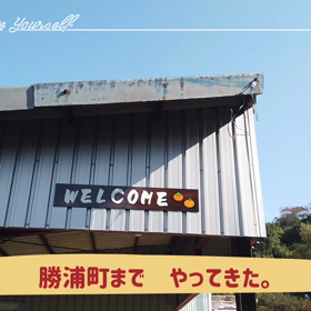 勝浦町へ　みかん狩りの画像