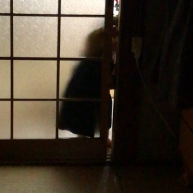 1y1m15d♥場所見知りと後追いの画像