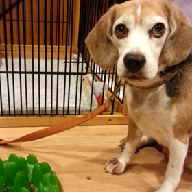 今日は寒い～の画像