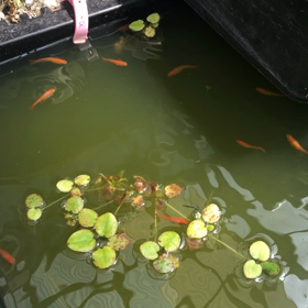 久しぶりに良い天気！の画像