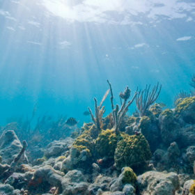 ８月一発目 ☆の画像