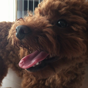 ロアが....いないの画像