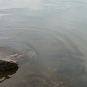 第１０戦  釣れる気満々でしたがの画像
