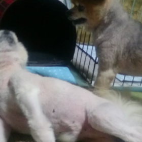 二人は仲良し！？の画像