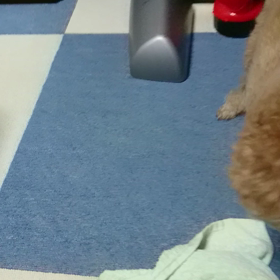 右左右左！の画像