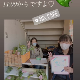 無農薬野菜販売‼️の画像