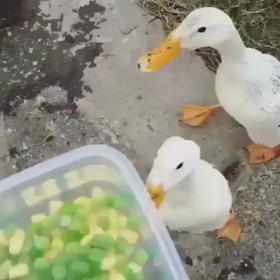 競争をスピードアップするの画像