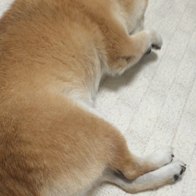 うだうだうだうだ…の画像