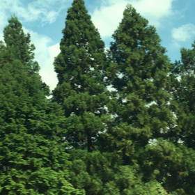 流れる雲の画像