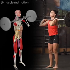 骨格で見るトレーニングの画像