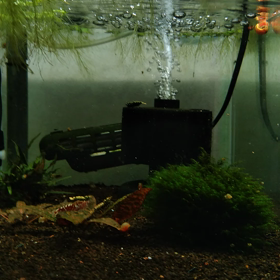 ざわさわしてます。の画像