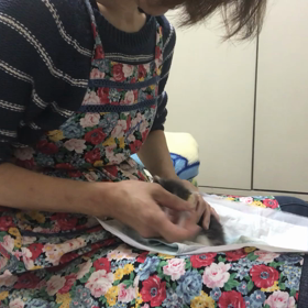 肺炎のとうふベビーの画像