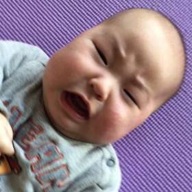 かまってくれー。の画像