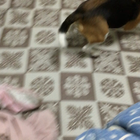 違うのに！の画像