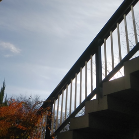 鳥を見るの画像