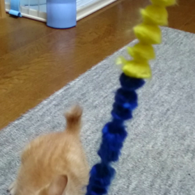 動画☆むぎの大失敗(笑)の画像