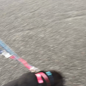 はるのお散歩デビューの画像