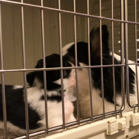 そっくり親子の画像