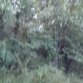 おはようございます☔の画像