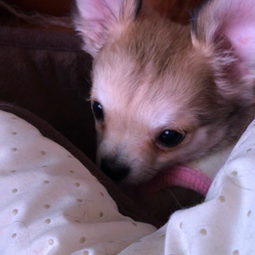 顔が撮れやん‼️の画像