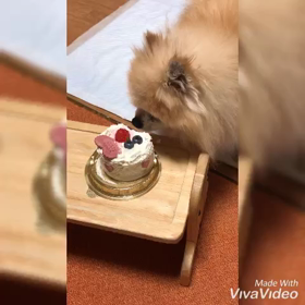 吐いた…の画像