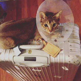 ジェジュンのインスタの画像