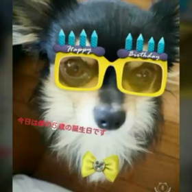 祝5歳の画像