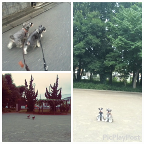 すずし〜＼(^o^)／の画像