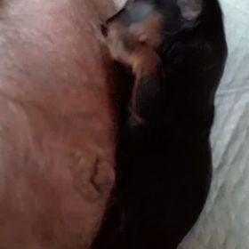 ❤ヽ(●´ε｀●)ノ❤の画像