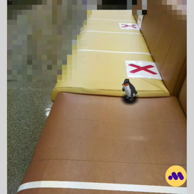 写真遊びしました(^^)の画像