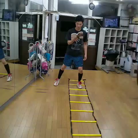 チャンプも勉強の画像