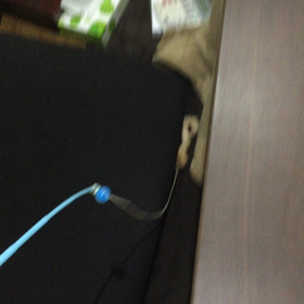 久々のお遊び(=ﾟωﾟ)ﾉの画像