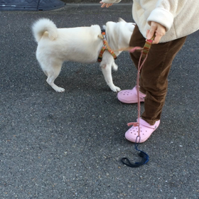 ワニちゃんとのスキンシップの画像