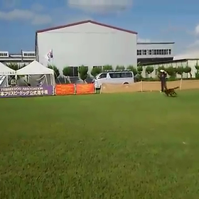 2016年奇跡のJFA加西大会(笑)の画像