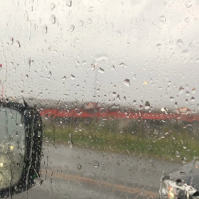 エリーゼの画像