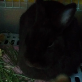 偶然に！！の画像