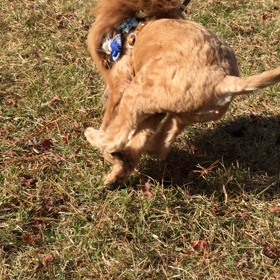 山中湖旅行  〜動画〜の画像