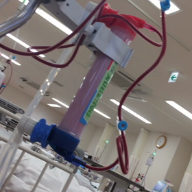 おはようございます。の画像