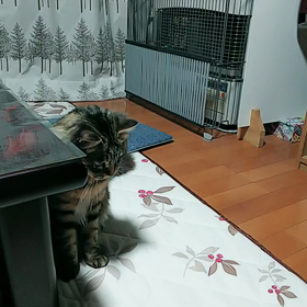 奇跡の再会の画像