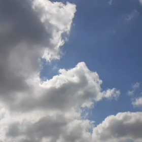 良く考えてやろう。の画像